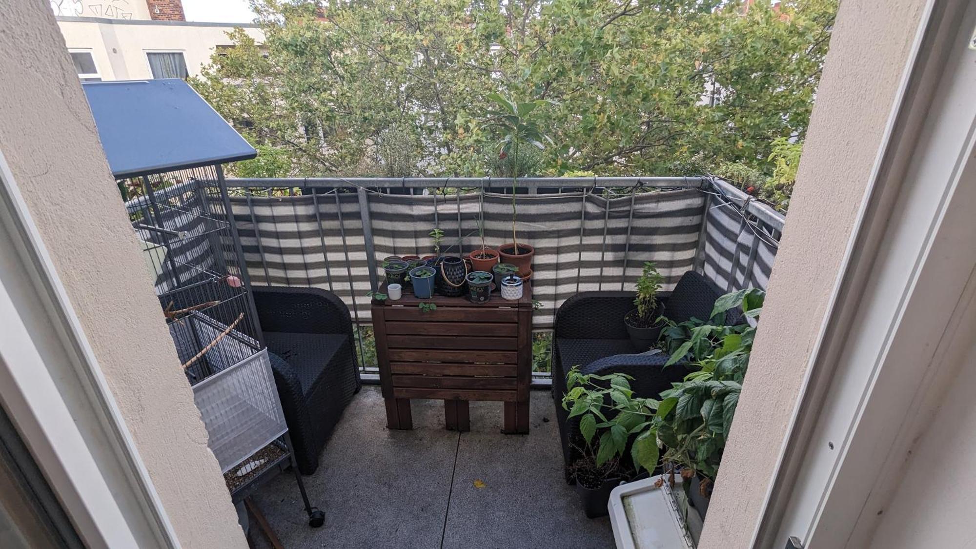 Cosy Flat In Berlin'S Trendy Area Apartment Exterior photo